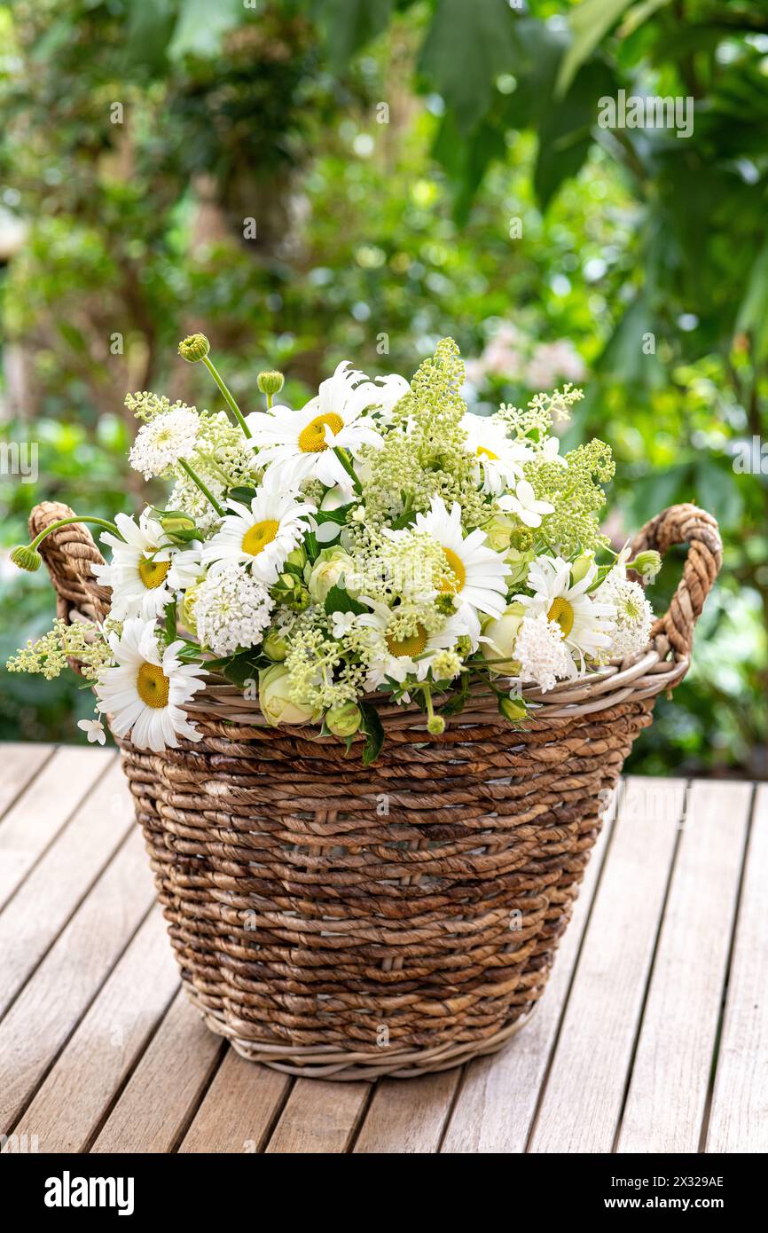 Botanique, ATTENTION ! POUR GREETINGCARD-USE / POSTCARD-USE DANS LES PAYS GERMANOPHONES, CERTAINES RESTRICTIONS PEUVENT S'APPLIQUER Banque D'Images