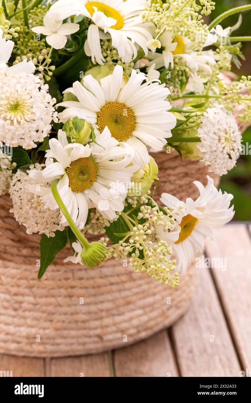Botanique, ATTENTION ! POUR GREETINGCARD-USE / POSTCARD-USE DANS LES PAYS GERMANOPHONES, CERTAINES RESTRICTIONS PEUVENT S'APPLIQUER Banque D'Images