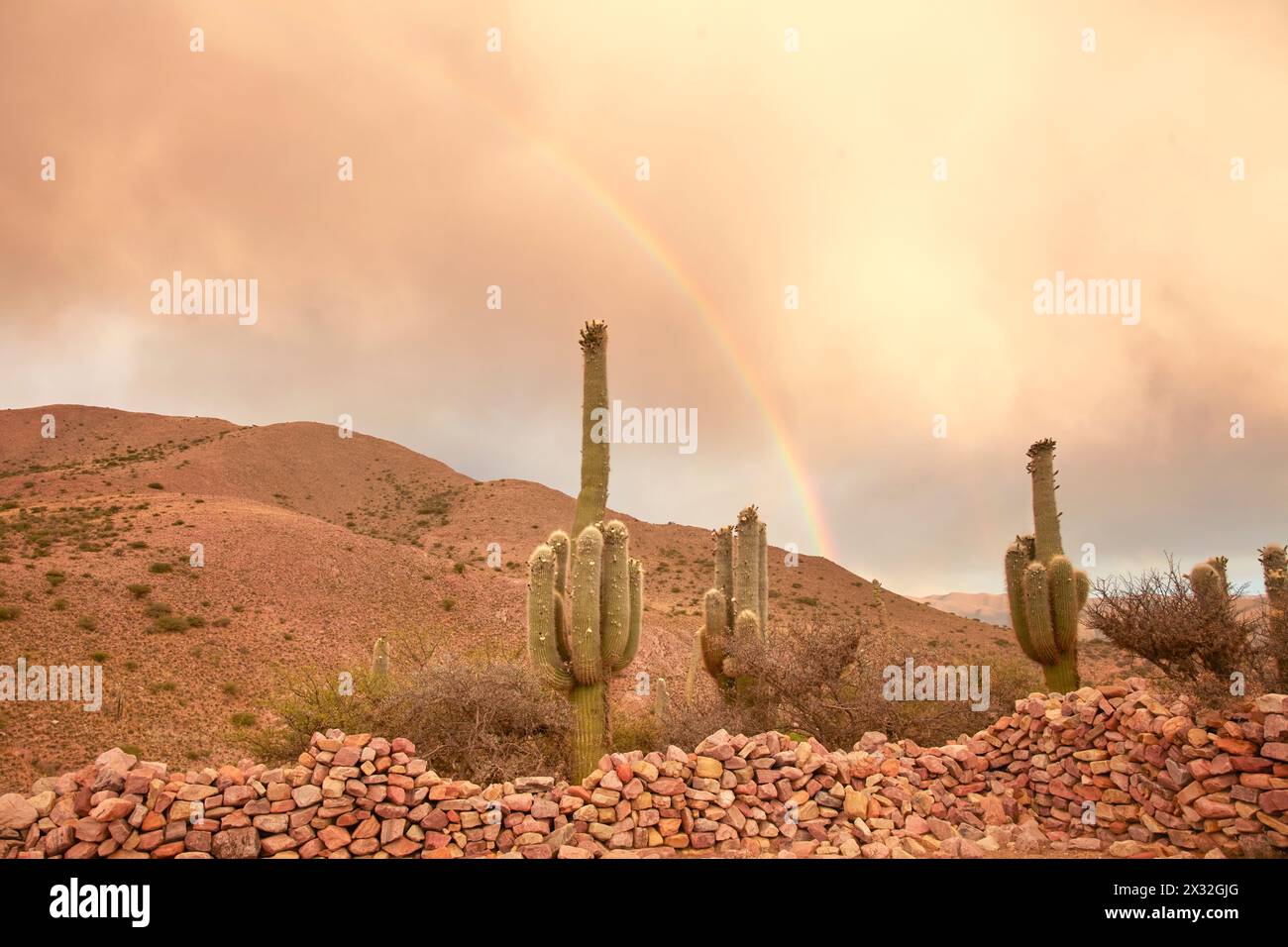 Un arc-en-ciel sur les collines rocheuses de la Quebrada de Humahuaca, avec des cactus et un mur de pirca au premier plan, Hornadita, Jujuy, Argentine. Banque D'Images