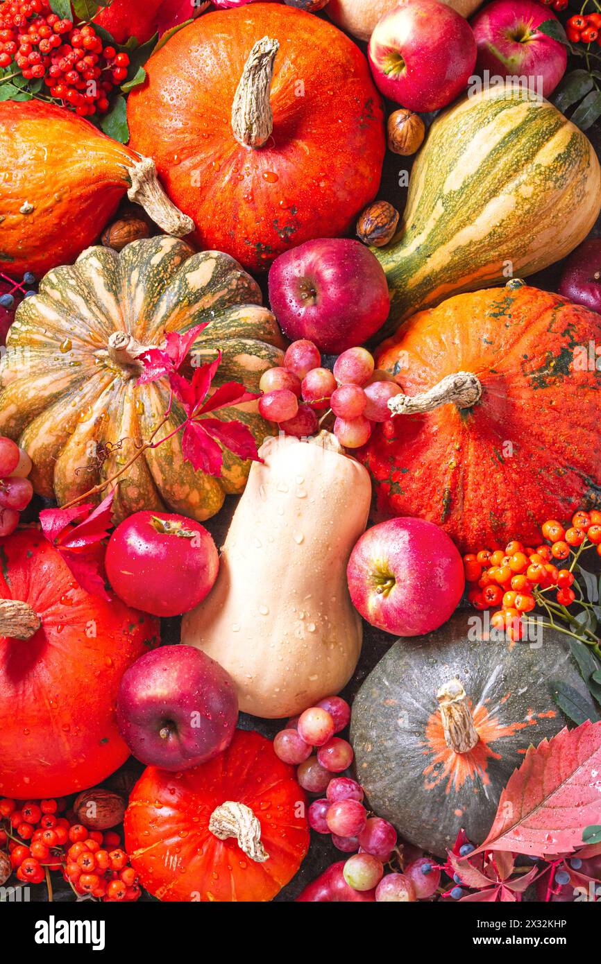 Arrière-plan d'automne avec fruits et légumes de saison, vue du dessus, plat. Joyeux Thanksgiving concept Banque D'Images