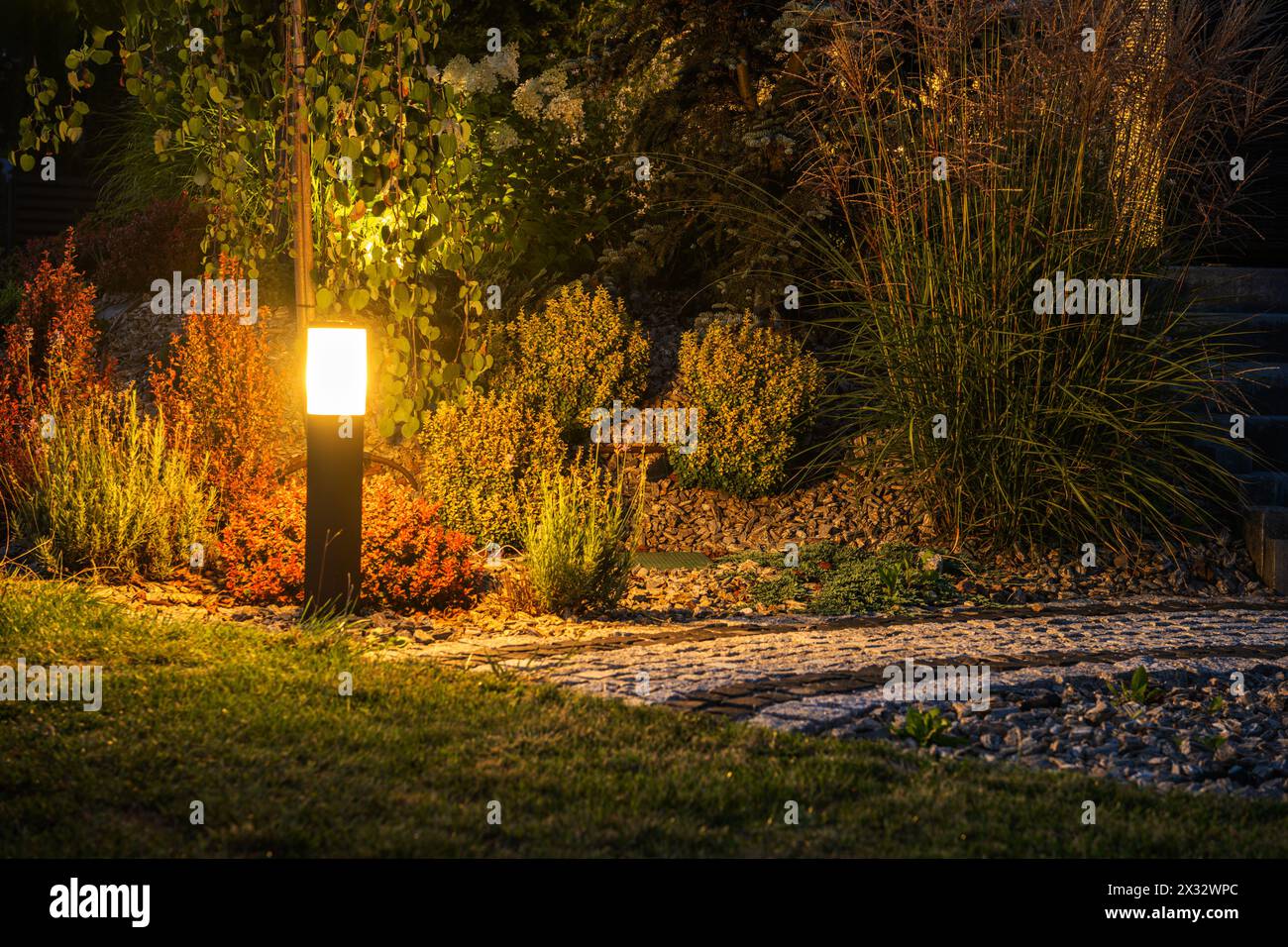 Éclairage extérieur de jardin LED illuminant le paysage. Thème de l'aménagement paysager moderne. Banque D'Images