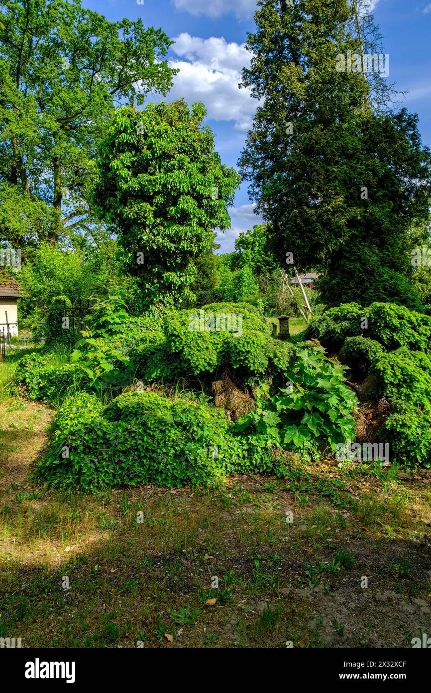 Cimetière idylle, cimetière protestant historique de Pokoj, district de Namyslow, voïvodie d'Opole, haute-Silésie, Pologne. Banque D'Images