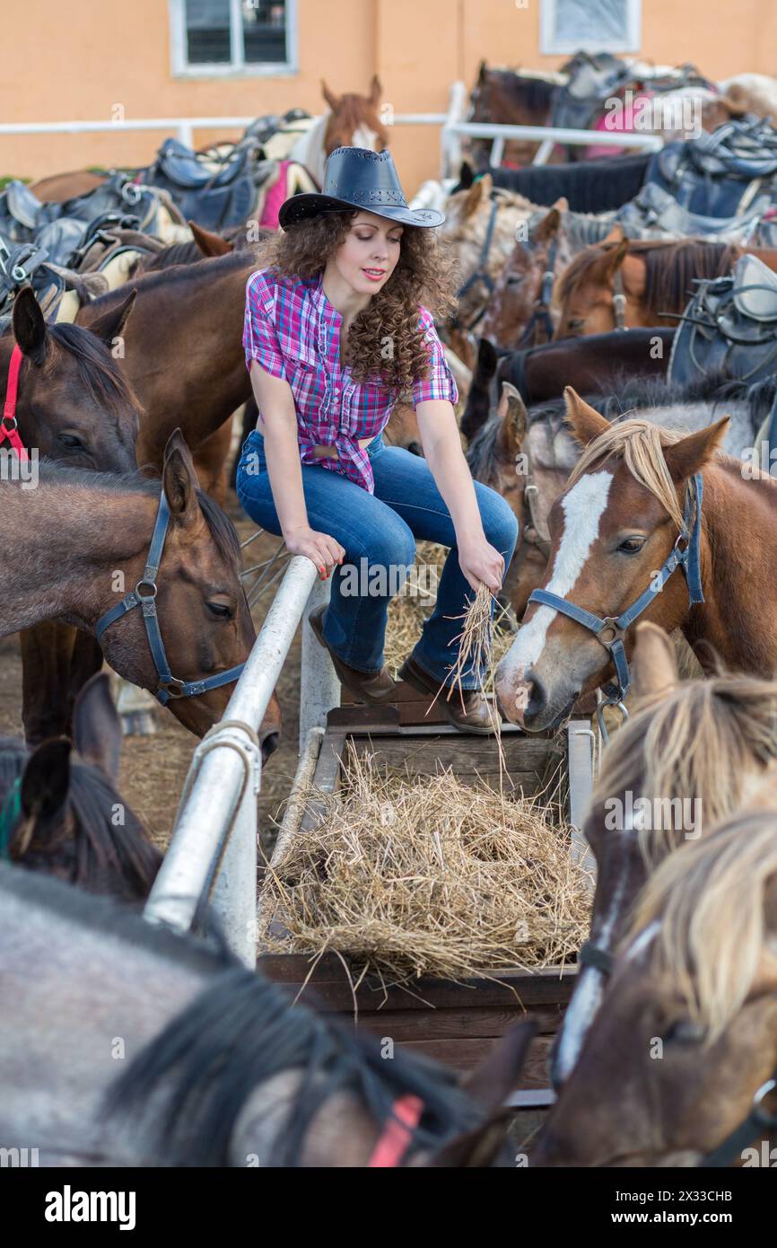 dame de cow-boy nourrissant les chevaux en gros plan stable Banque D'Images