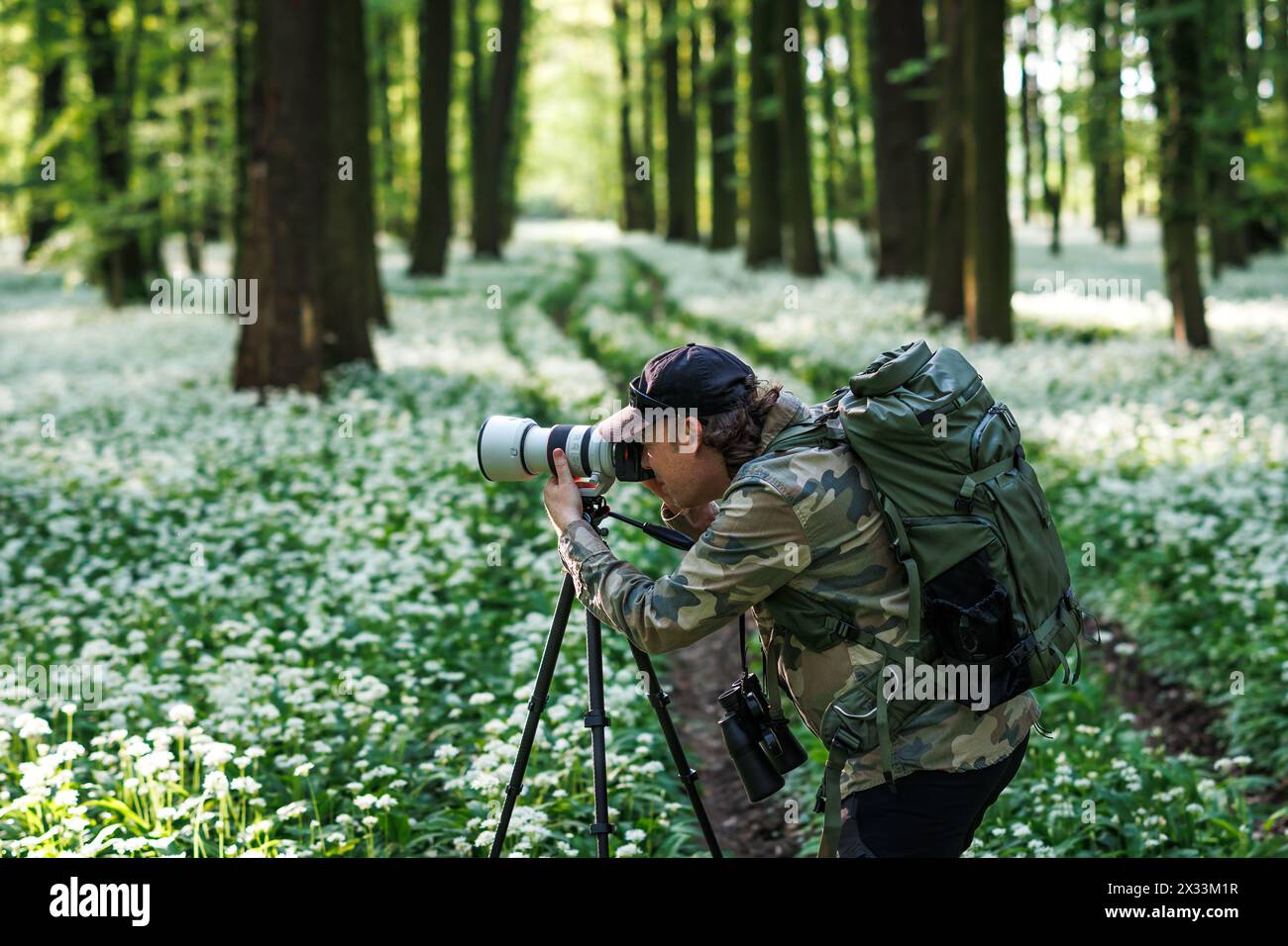 Photographe de paysage et de la faune avec sac à dos portant une chemise de camouflage. Homme avec appareil photo sur trépied photographiant la nature dans les bois de printemps fleuris Banque D'Images