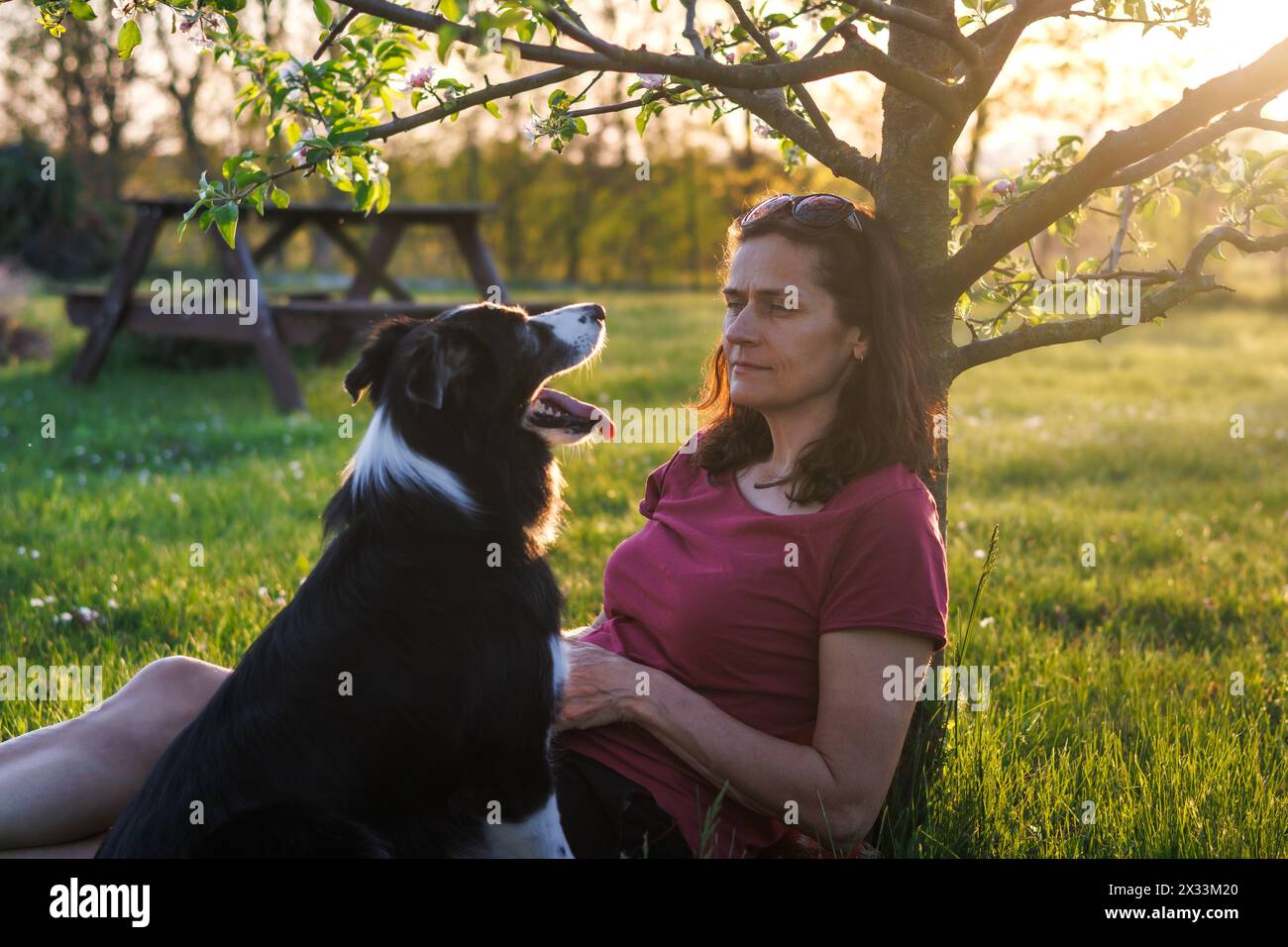La femme profite du printemps avec son chien dans le parc. Propriétaire d'animal de compagnie se relaxant avec border collie à l'extérieur pendant le coucher du soleil Banque D'Images