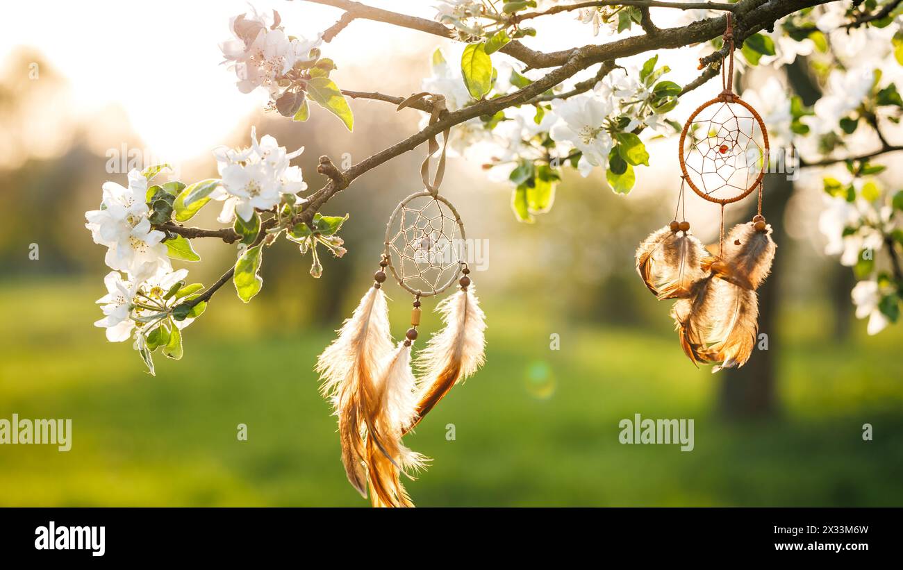 Dreamcatcher accroché à l'arbre en fleurs dans le vent au printemps. Spiritualité et rituel ornement pour le bon rêve Banque D'Images