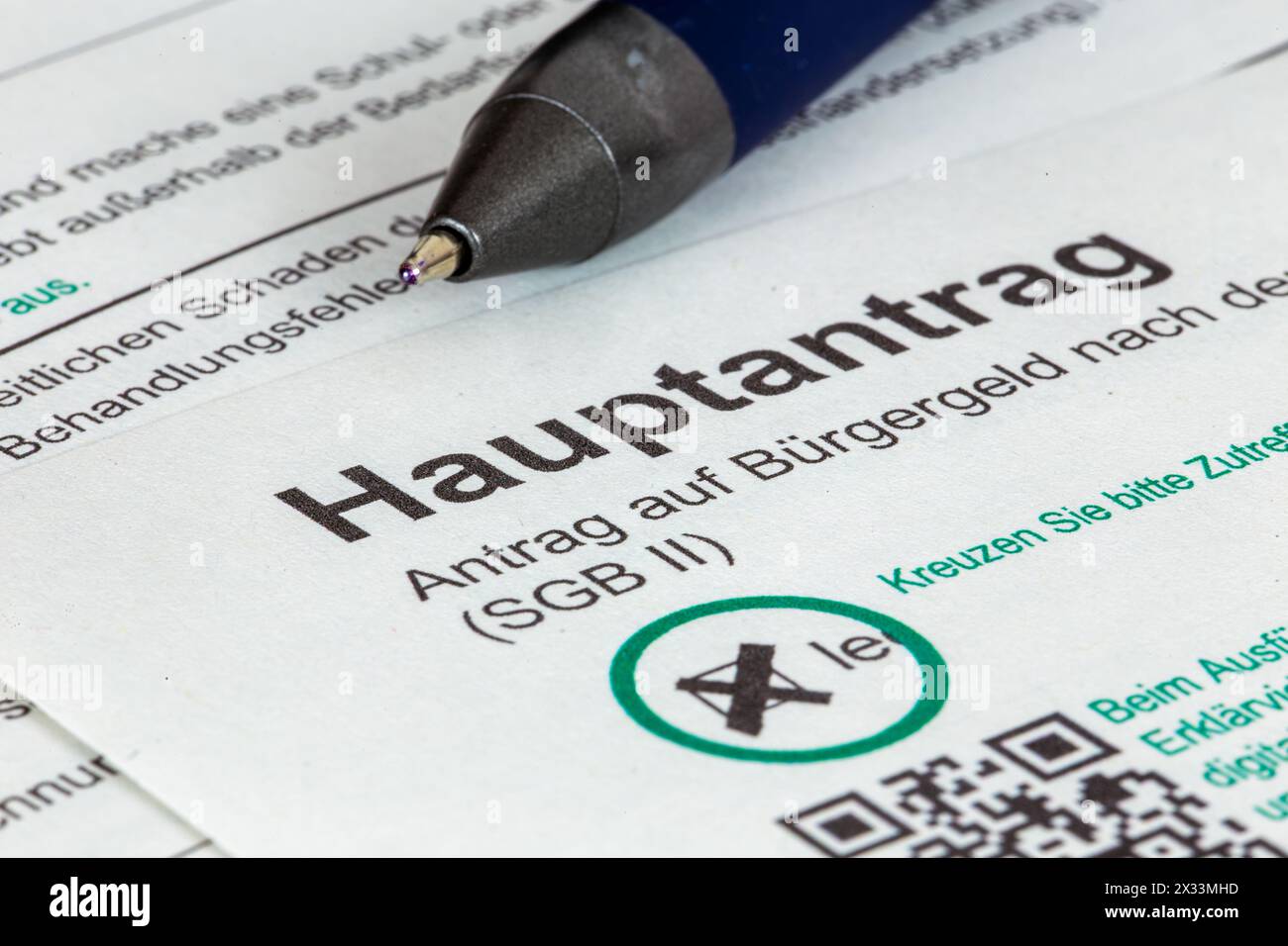 Image symbolique du revenu du citoyen (Allemagne) : gros plan du formulaire de l'Agence fédérale pour l'emploi Banque D'Images