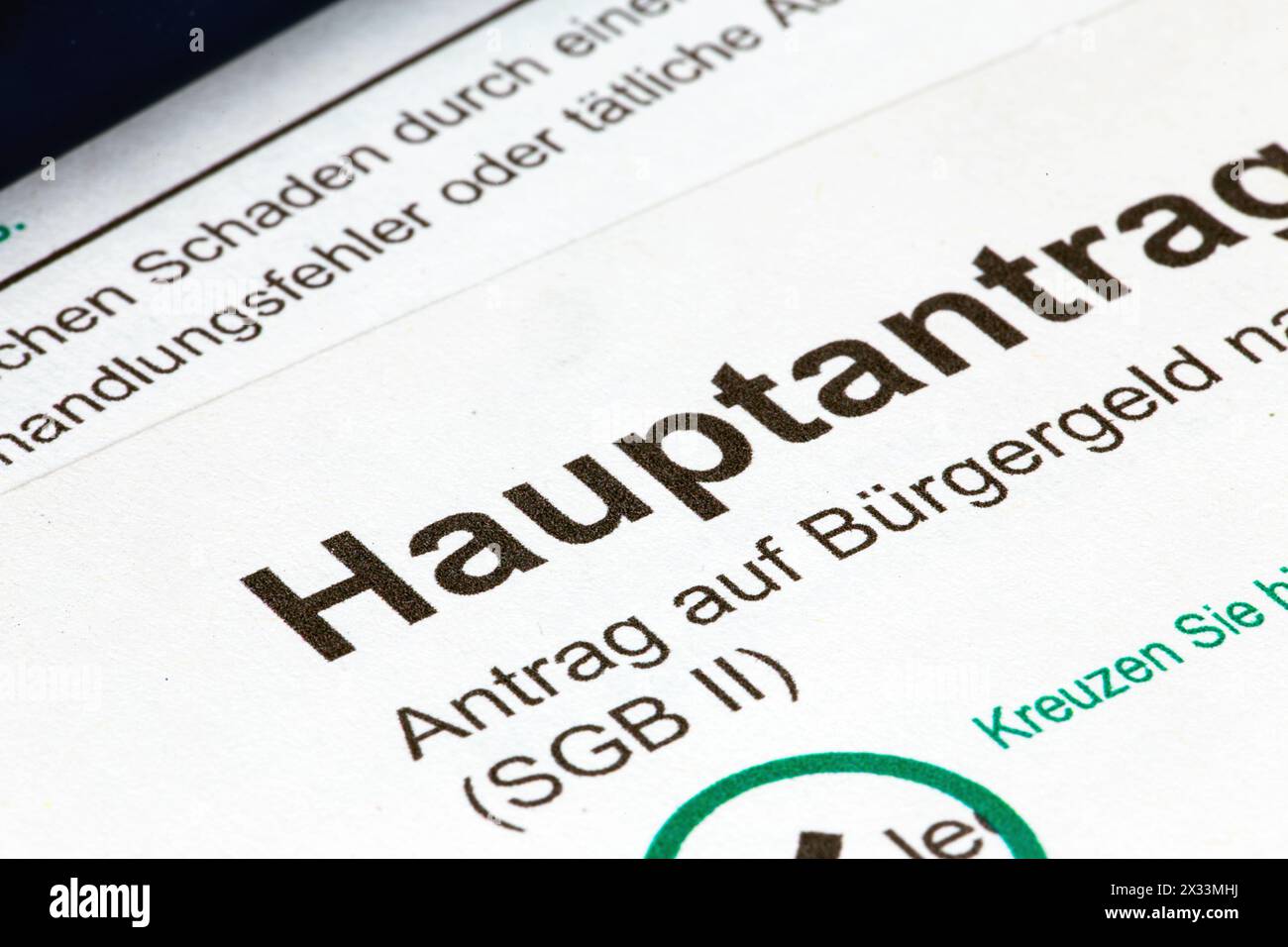 Image symbolique du revenu du citoyen (Allemagne) : gros plan du formulaire de l'Agence fédérale pour l'emploi Banque D'Images