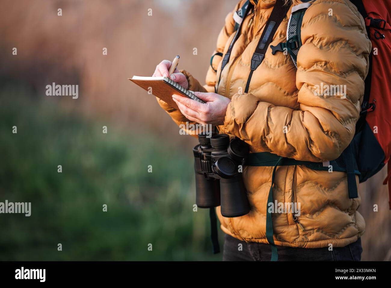 Ornithologue femme avec des jumelles écrit des détails sur le comportement des oiseaux, la migration et les sites de nidification dans la nature dans un cahier. Observation des oiseaux en plein air Banque D'Images