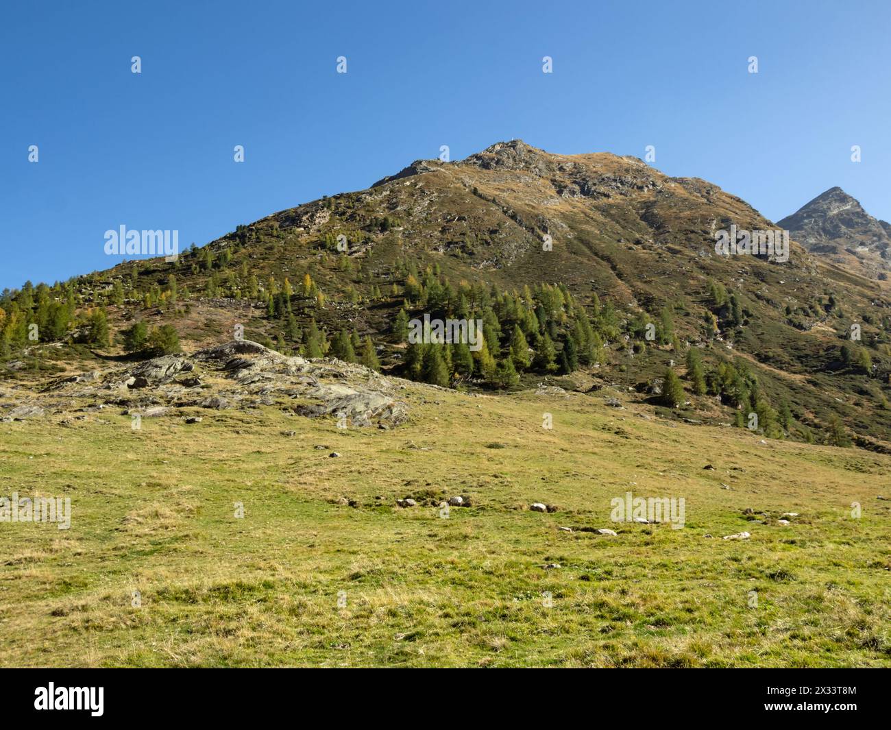 Vue du paysage automnal dans la vallée du Passeier près de Pfelders dans le Parc naturel du Groupe Texel, Tyrol du Sud, Italie Banque D'Images