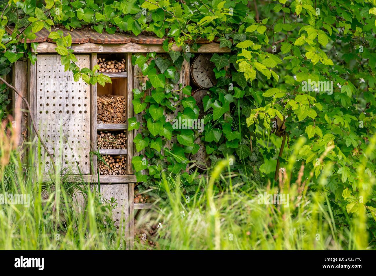 Une maison d'insectes en bois dans le jardin. Bug hôtel dans le parc avec des plantes. À l'extérieur. Banque D'Images