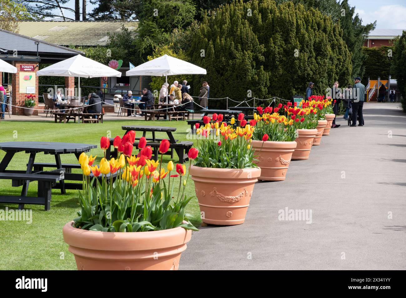 Burnby Hall Gardens, festival des tulipes Banque D'Images