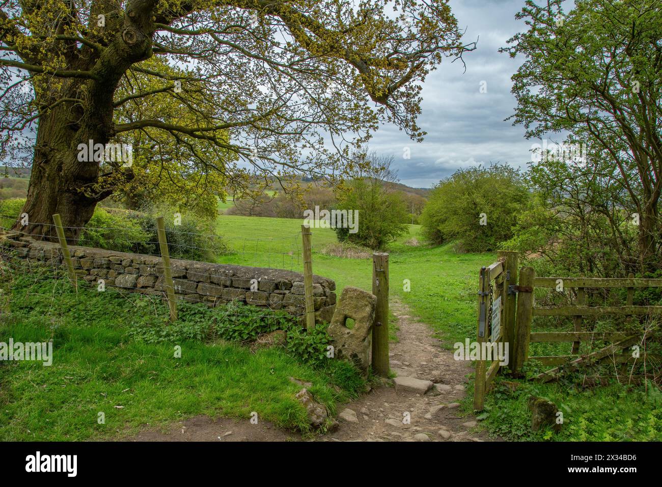 Une porte ouverte en bois menant à Gill Beck Valley à Baildon, Yorkshire. Prises en avril, les nouvelles feuilles ne font qu’apparaître sur les arbres. Banque D'Images