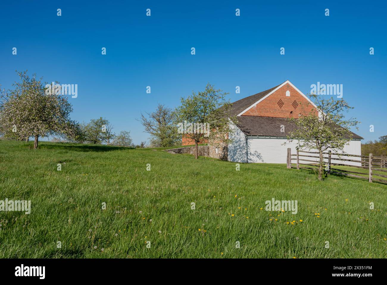 Verger de pommiers sur la ferme Trostle au printemps, Gettysburg Pennsylvanie États-Unis Banque D'Images