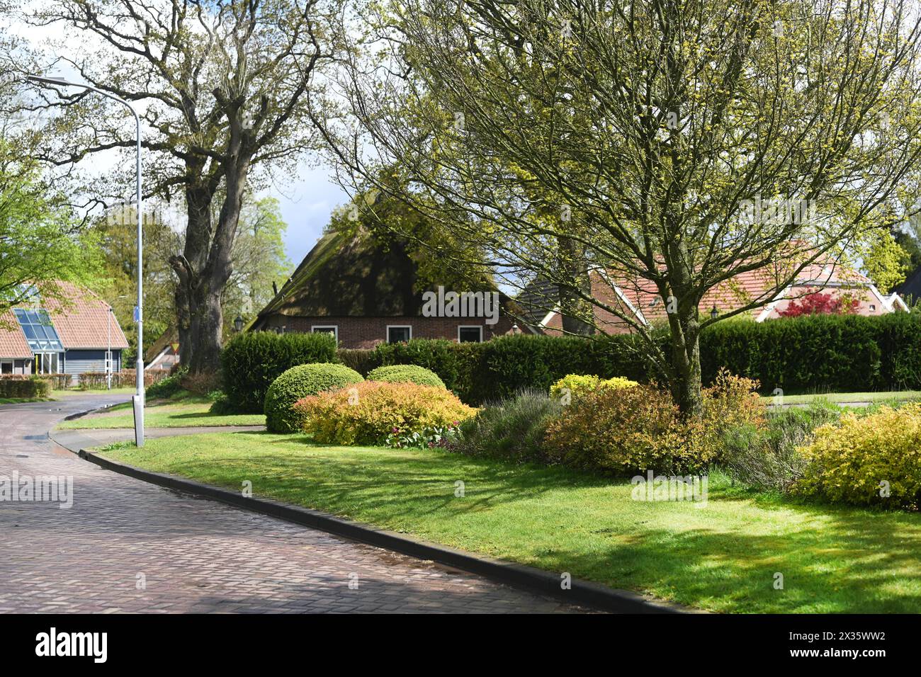 NL, Eesergroen : le printemps façonne le paysage, les villes et les habitants de la province de Drenthe aux pays-Bas. Le village de EES Banque D'Images