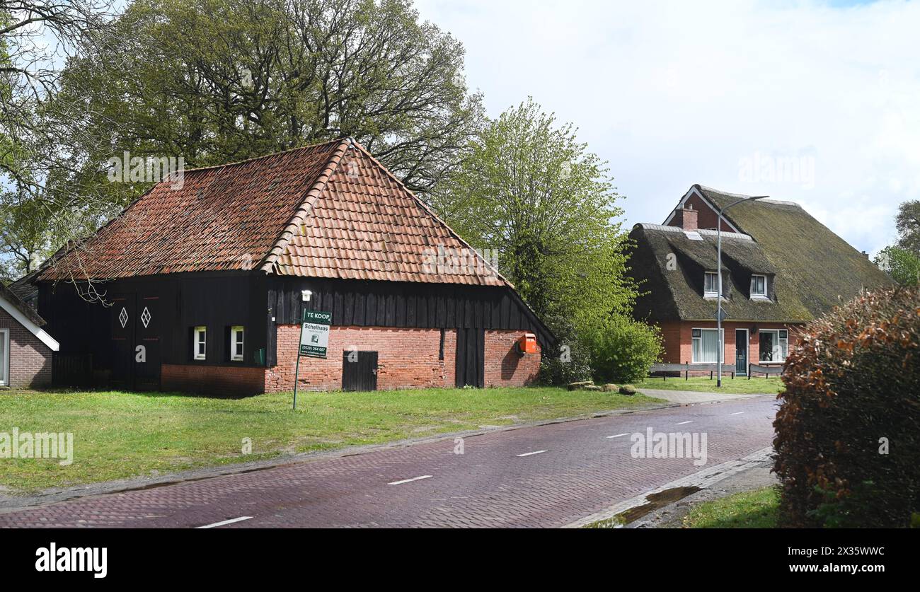 NL, Eesergroen : le printemps caractérise le paysage, les villes et les habitants de la province de Drenthe aux pays-Bas. Le village pittoresque de EES In Banque D'Images
