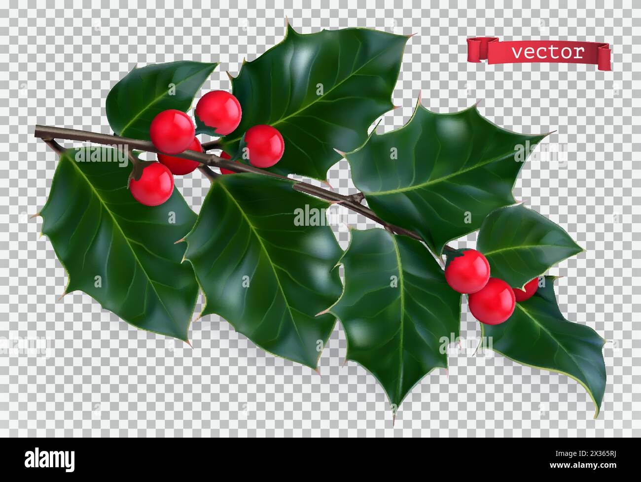 Holly décoration traditionnelle de noël, icône vectorielle réaliste 3D. Illustration de Vecteur