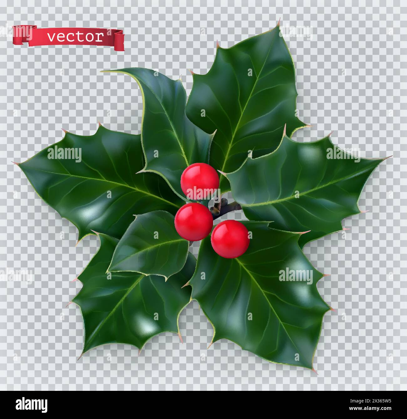 Décoration traditionnelle de Noël Holly. icône vectorielle réaliste 3d. Illustration de Vecteur
