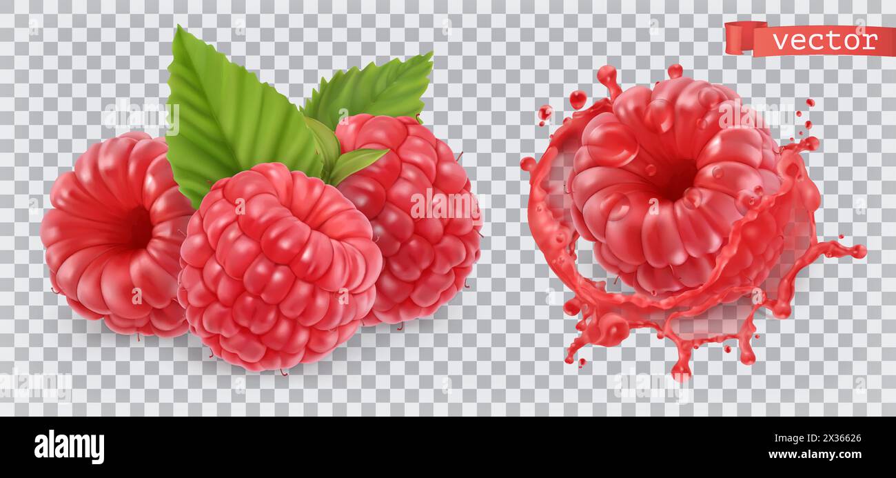 Raspberry. Fruits sucrés. icône vectorielle réaliste 3d. Illustration de Vecteur