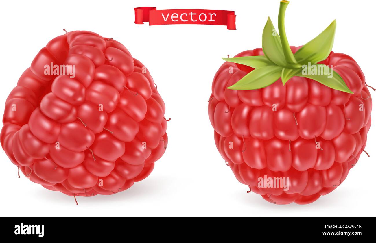 Image vectorisée framboise rouge. Fruits frais. icône vectorielle réaliste 3d. Illustration de Vecteur