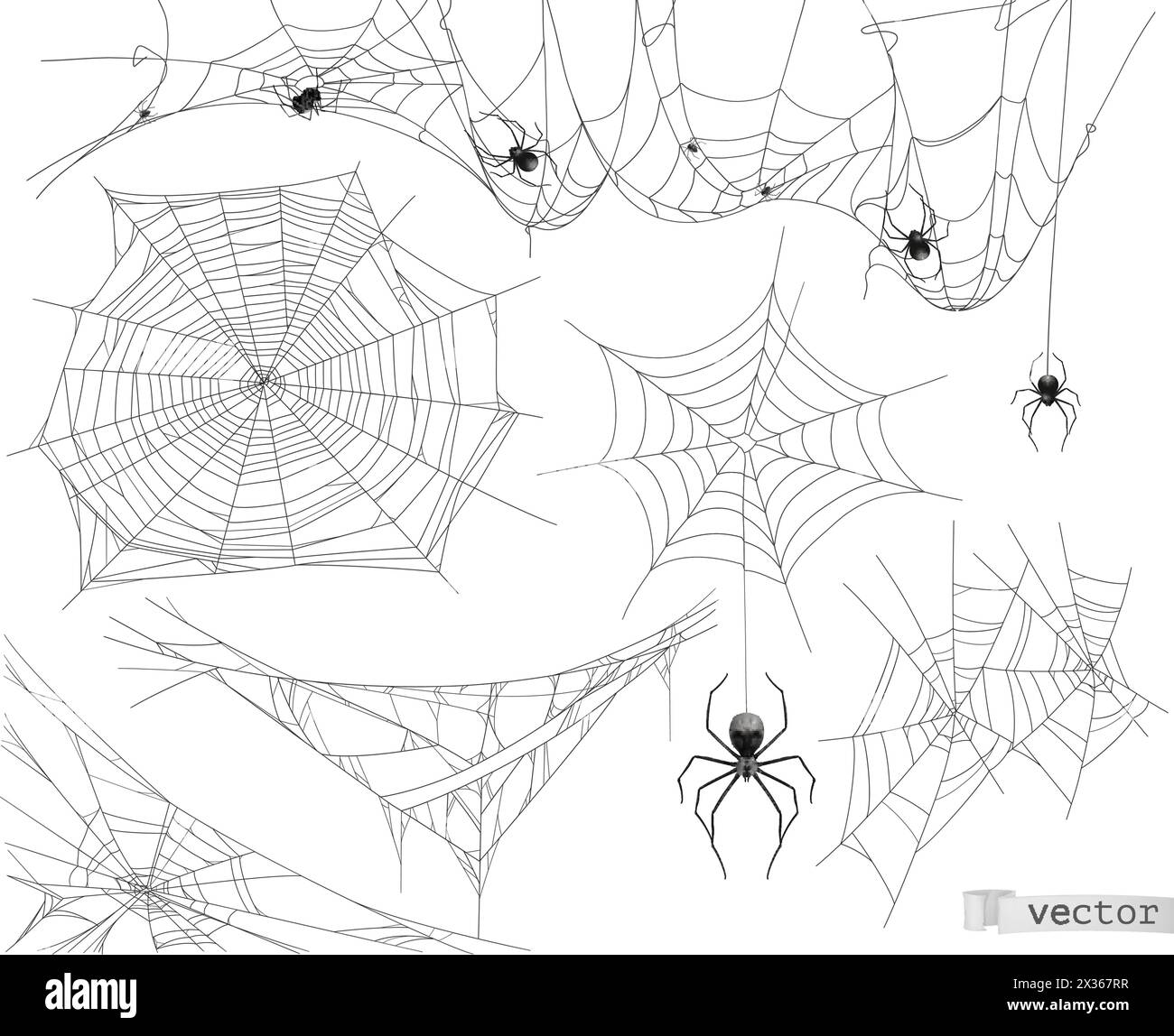 Toile d'araignée, ensemble vectoriel d'éléments Illustration de Vecteur