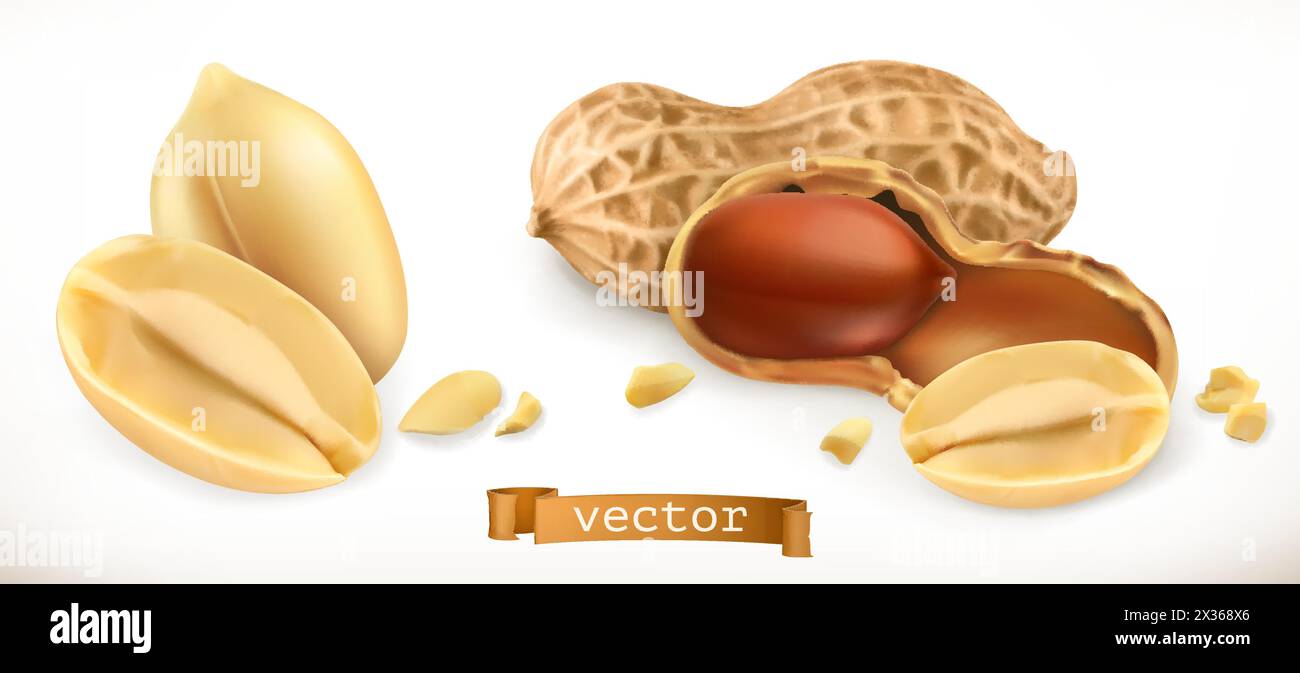 Cacahuète. jeu d'icônes vectorielles réalistes 3d. Illustration de Vecteur