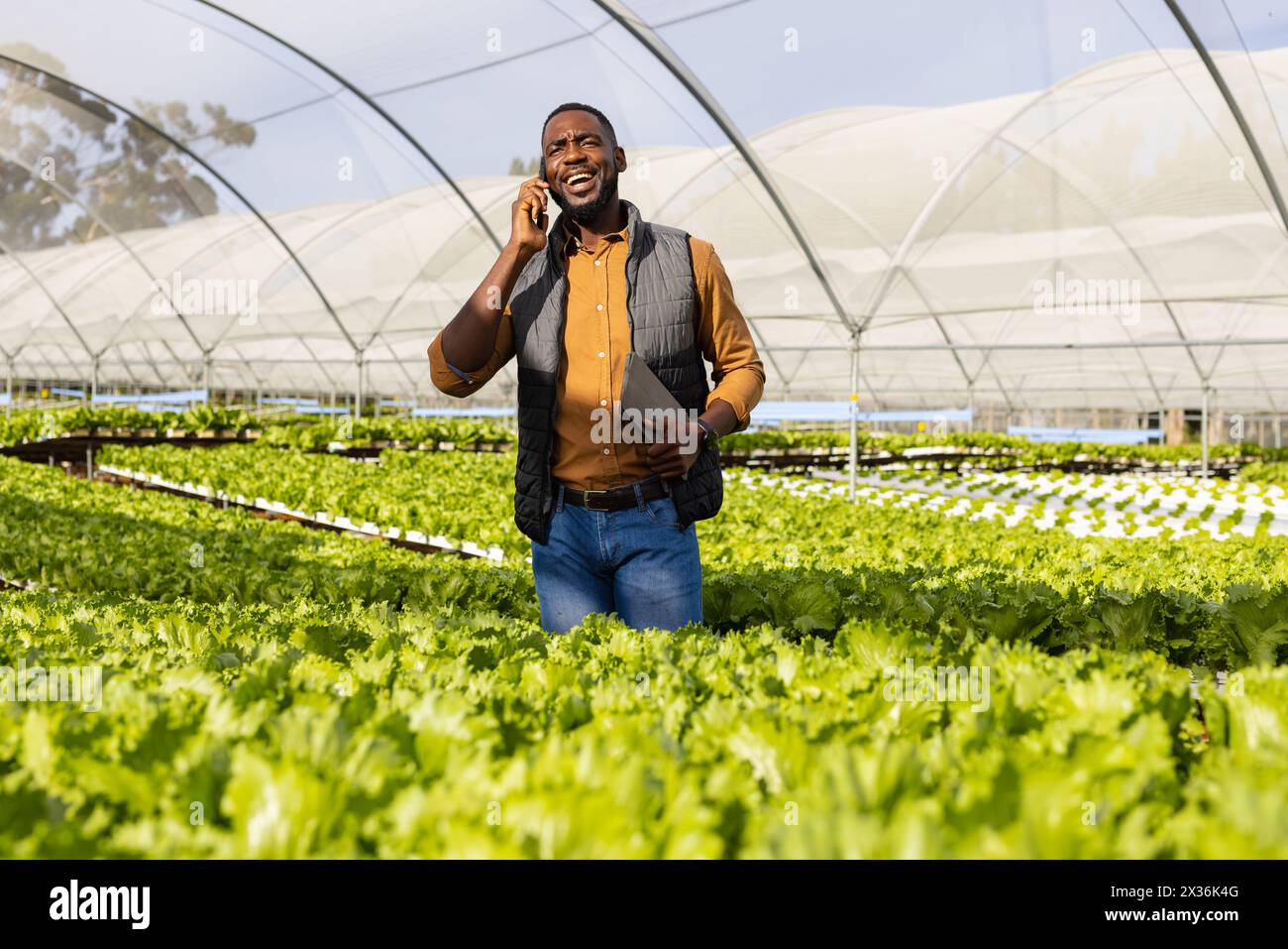 Jeune agriculteur afro-américain parlant au téléphone, marchant à travers la ferme hydroponique dans la serre. Portant des vêtements décontractés, il a les cheveux noirs courts an Banque D'Images