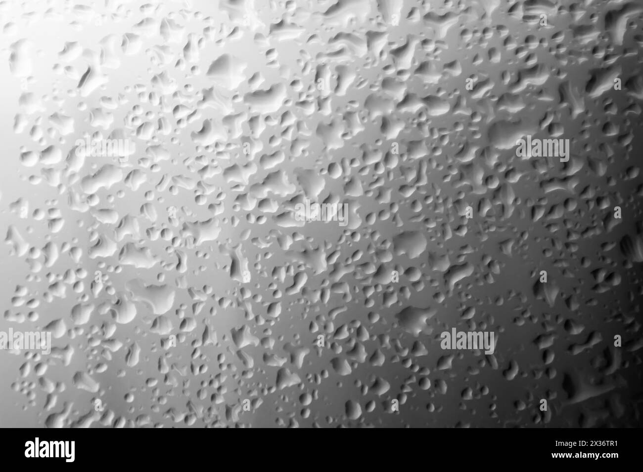 Gouttes d'eau avec fond gris Banque D'Images