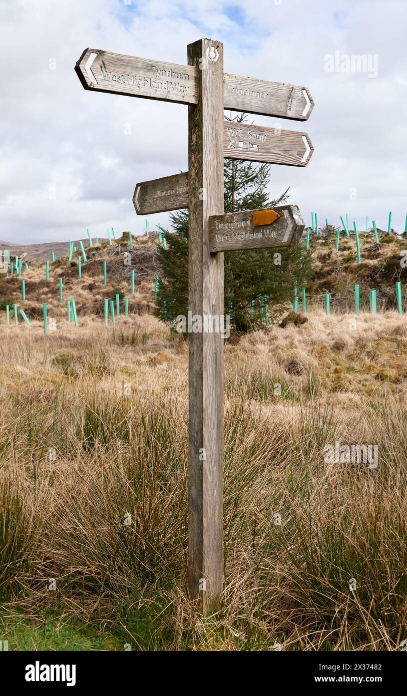 Panneau sur West Highland Way indiquant les directions pour Tyndrum et Crianlarich Banque D'Images