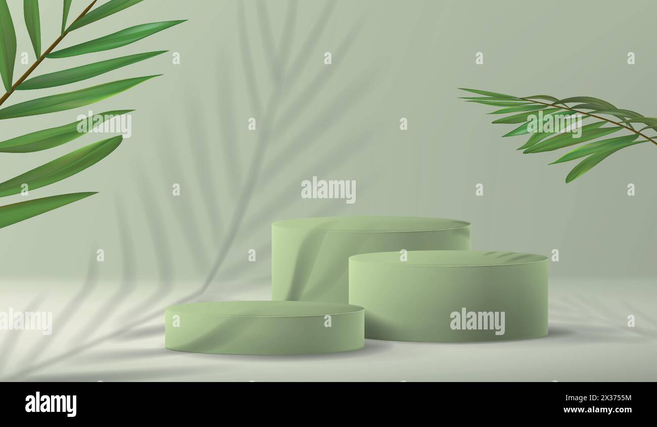 Fond avec un piédestal vide pour mettre en valeur le produit dans un style minimaliste avec une plante de palmier et une ombre en vert pastel. Jeu de ped cylindrique Illustration de Vecteur