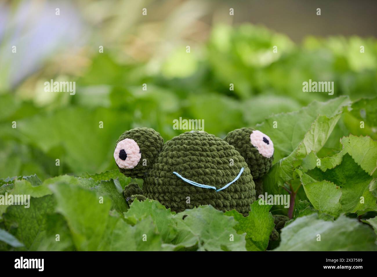 Jouet grenouille tricoté mignon dans le jardin Banque D'Images