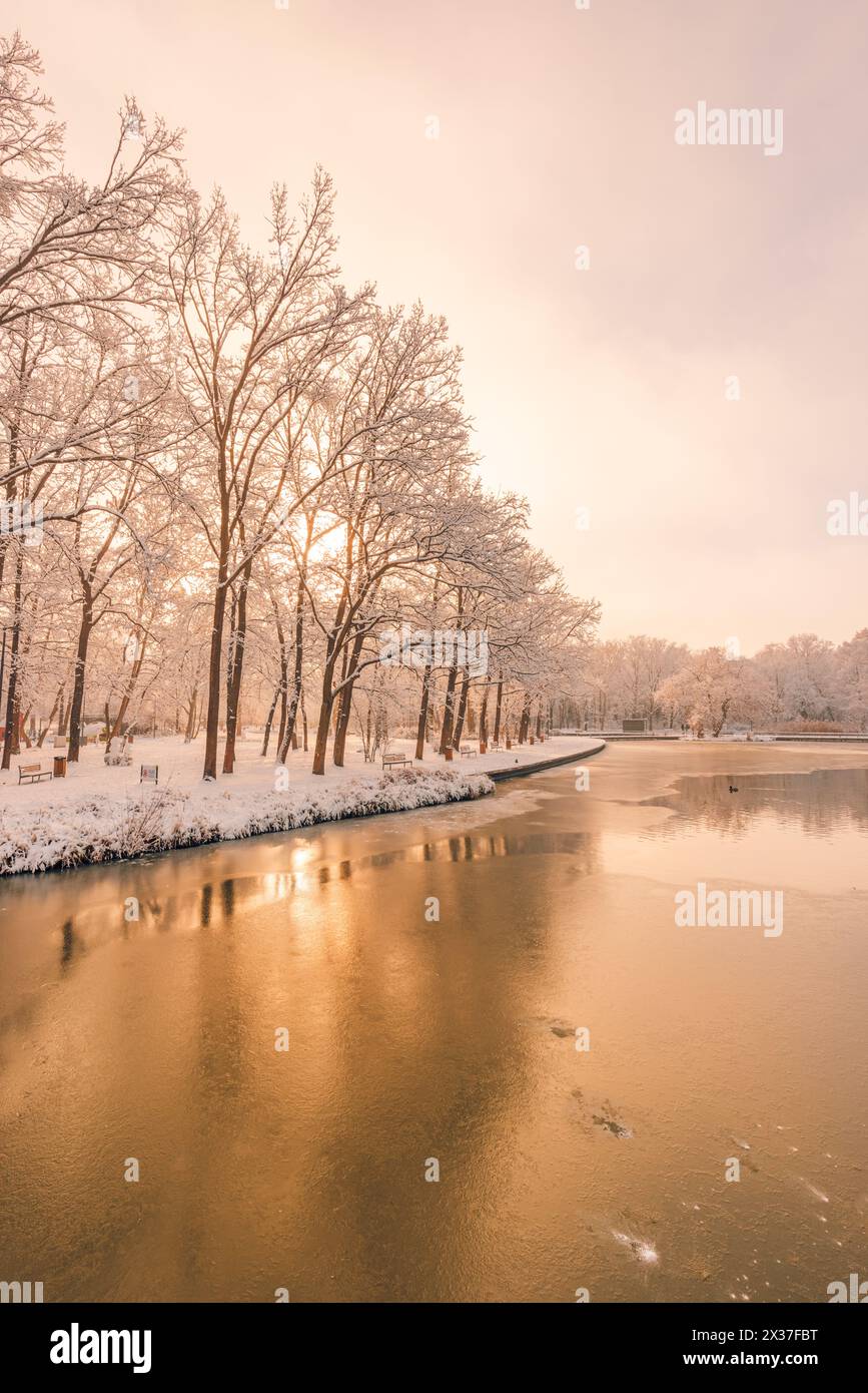 Lever de soleil doré sur une rivière calme avec des arbres givrés et une réflexion chaude. Paysage saisonnier brumeux. Aube naturelle pittoresque lueur matinale froide et paisible Banque D'Images