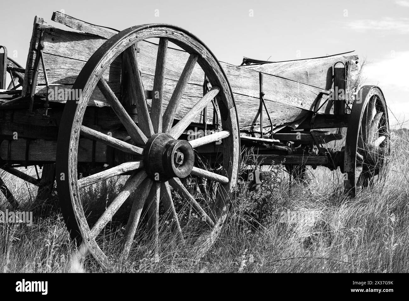 Image en noir et blanc d'un wagon à charriot abandonné dans la prairie Banque D'Images