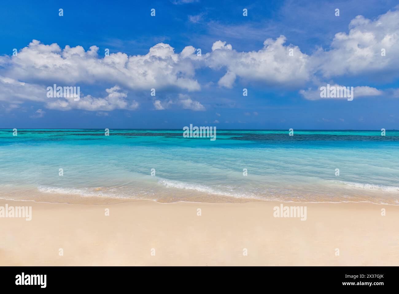Fond de plage d'été. Sable et mer et ciel. Vue sur la mer depuis la plage tropicale avec le ciel ensoleillé. Plage tropicale de sable blanc et papier peint doux de lumière du soleil Banque D'Images