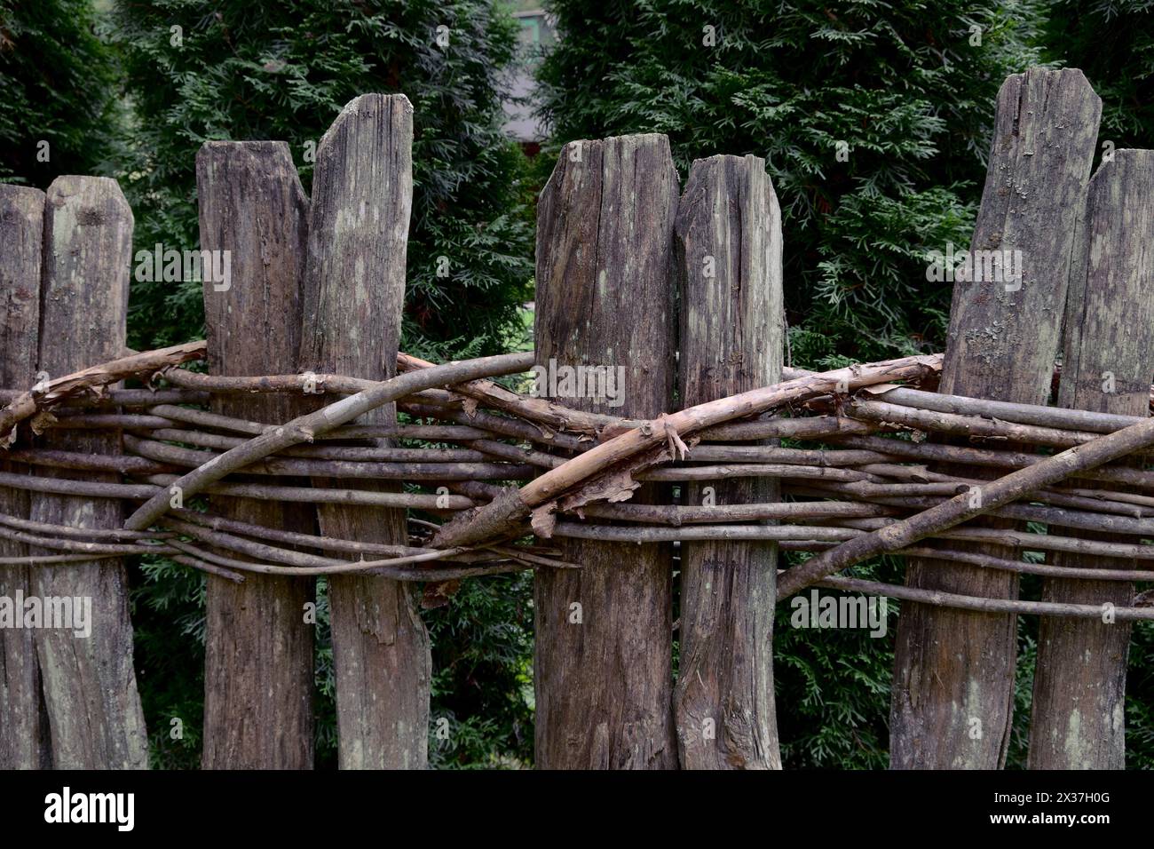 Une vieille clôture en bois entièrement faite à la main en tissant des brindilles le long du sentier menant à la source de la rivière Gradac, en Serbie Banque D'Images