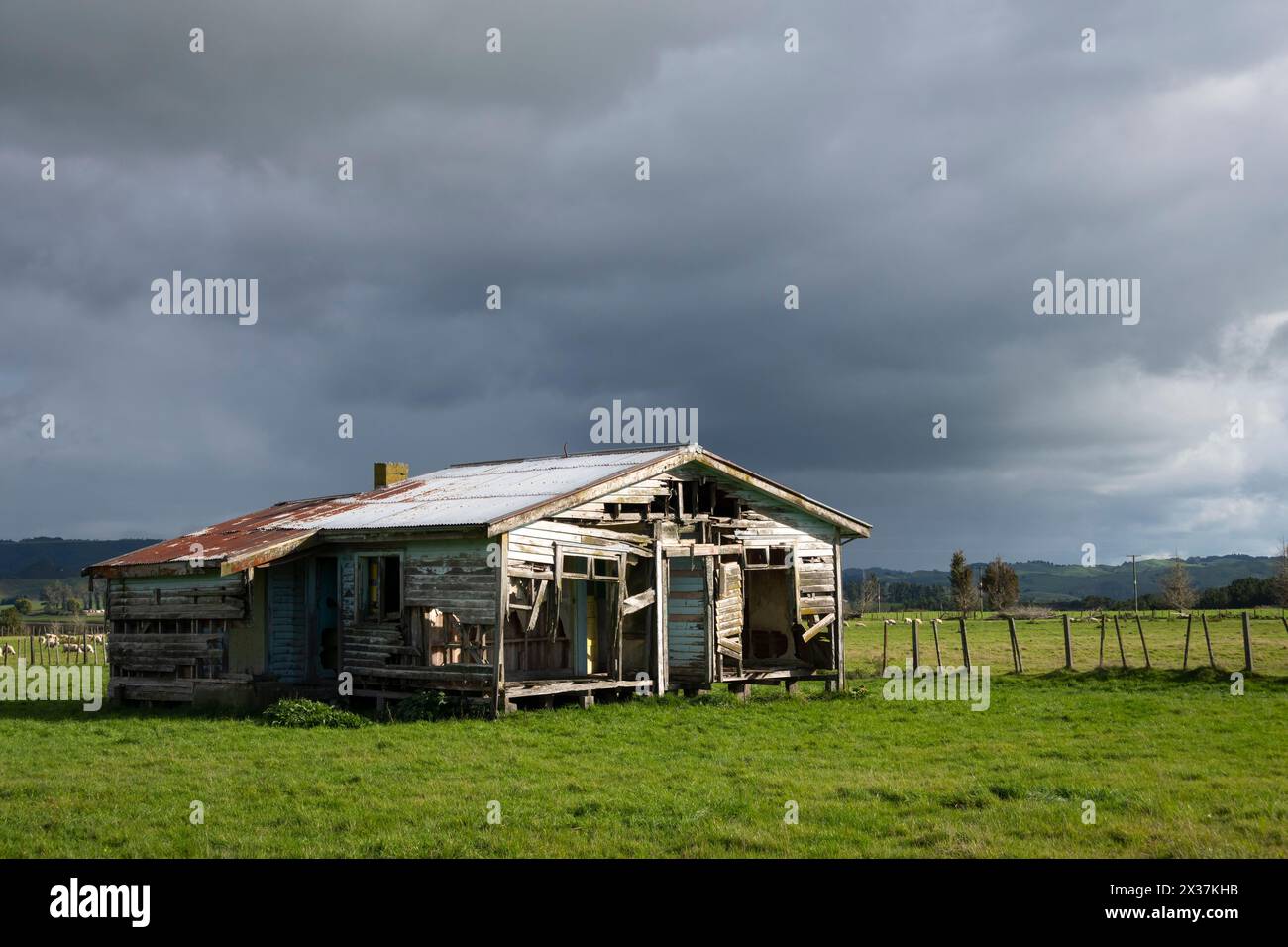 Maison abandonnée en bois, près de Taumaranui, Île du Nord, Nouvelle-Zélande Banque D'Images