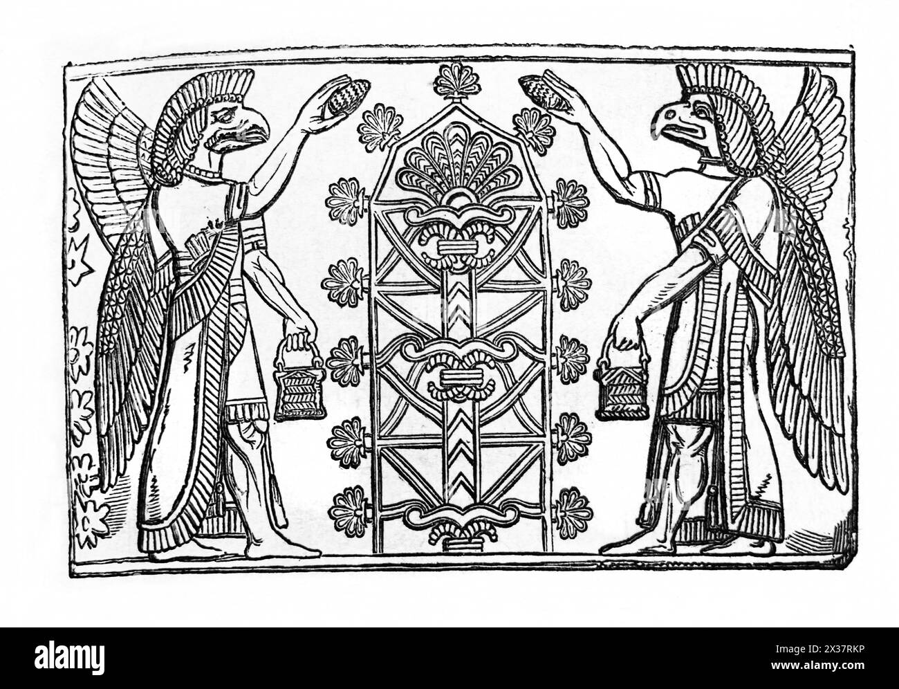 Gravure sur bois du Dieu Assyrien Nisroch arrosant l'arbre sacré avec de l'eau à Ninive de la Bible de famille illustrée du XIXe siècle Banque D'Images