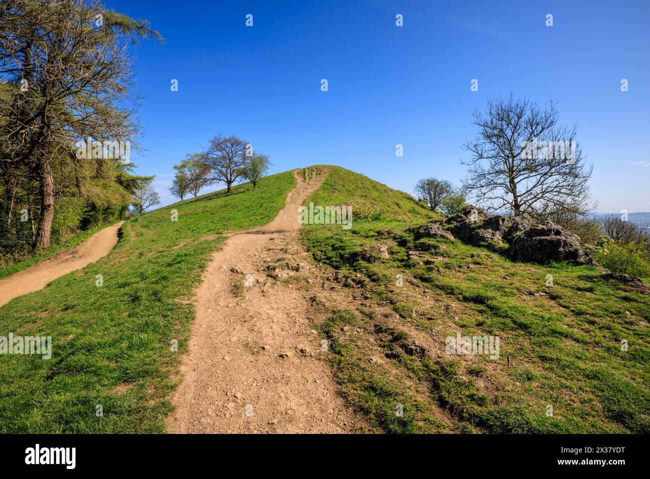Nord vers le sommet de Jubilee Hill, Malverns, Herefordshire et Worcestershire, Angleterre Banque D'Images
