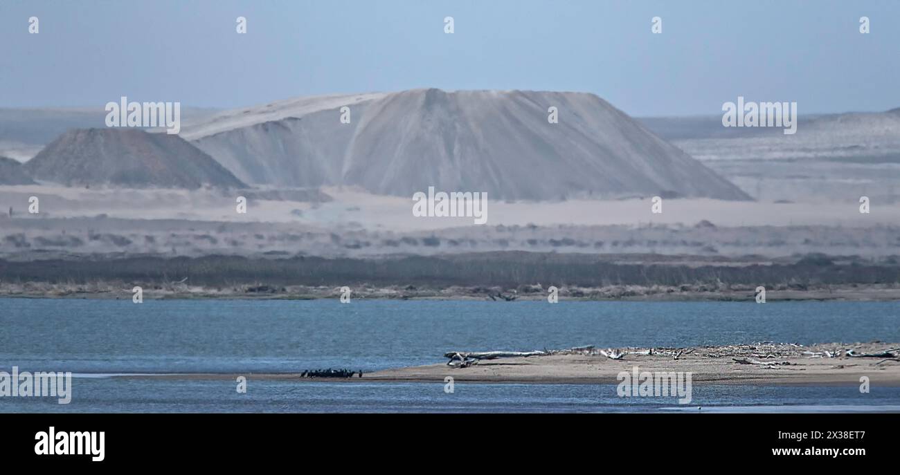 La brume dégage pour montrer une barre de sable exposée avec des shags et du bois flotté et les tas de déchets abandonnés des anciennes mines de diamants, au-dessus de la rive orange Banque D'Images