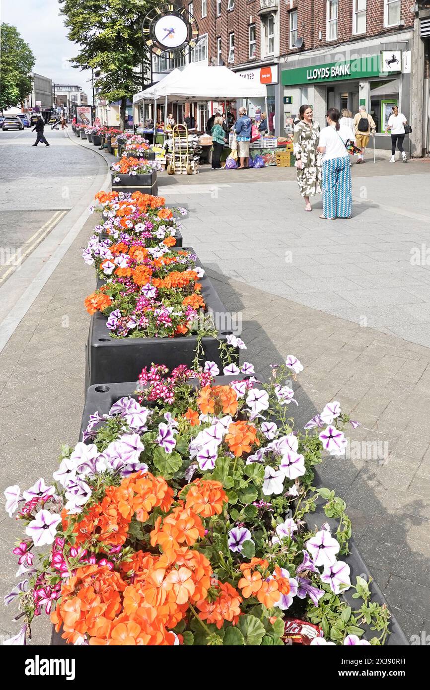 Annuel coloré pétunia & géraniums été literie fleurs longue rangée de jardinières protégeant la chaussée large du parking Brentwood Essex Angleterre Royaume-Uni Banque D'Images