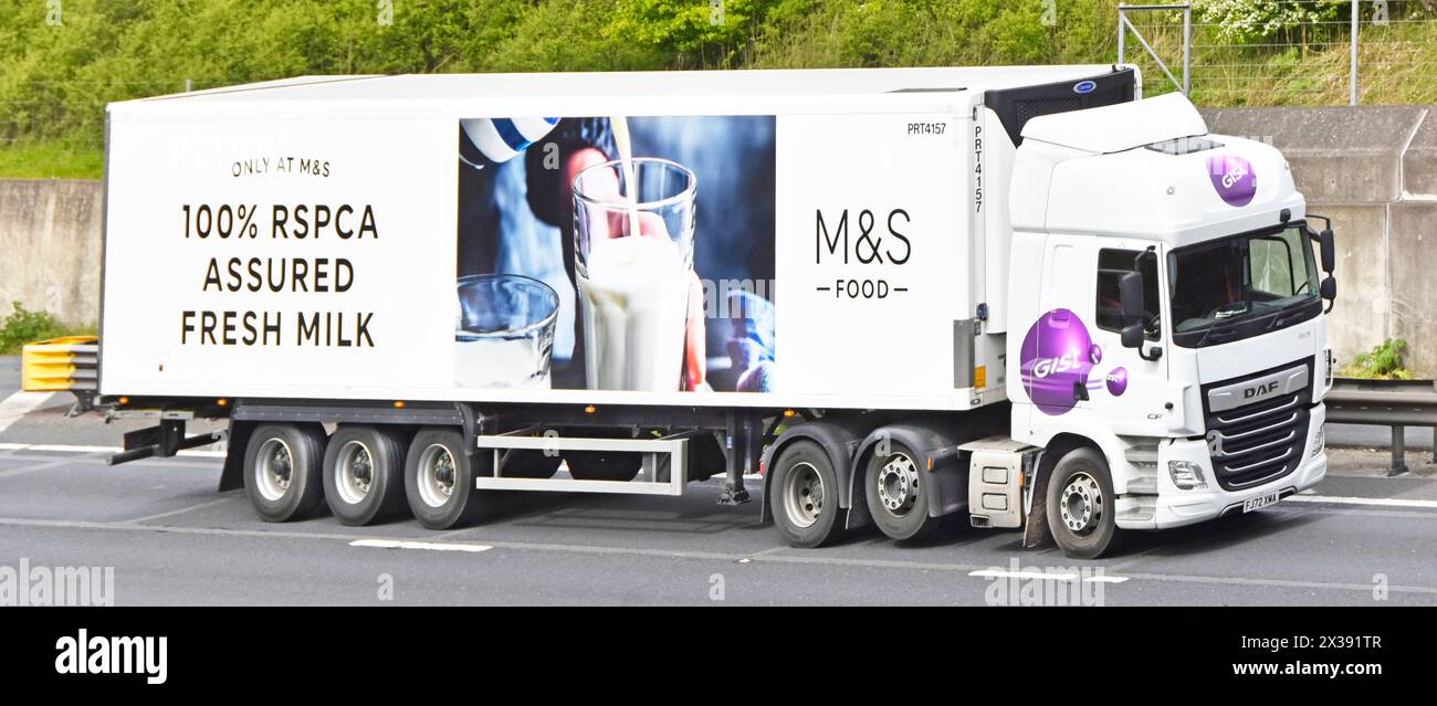 M&S Gist DAF camion poids lourd vue latérale remorque articulée promouvant le lien d'affaires M&S Food avec RSPCA Assured Resh Milk production Essex England UK Banque D'Images