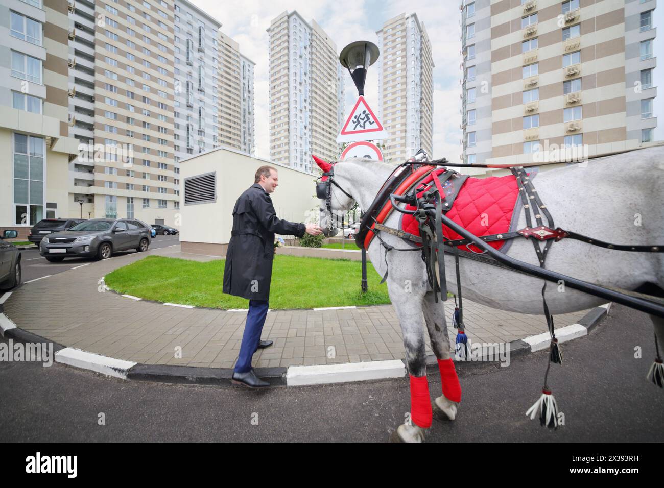 L'homme souriant touche le cheval dans le harnais près des bâtiments résidentiels Banque D'Images