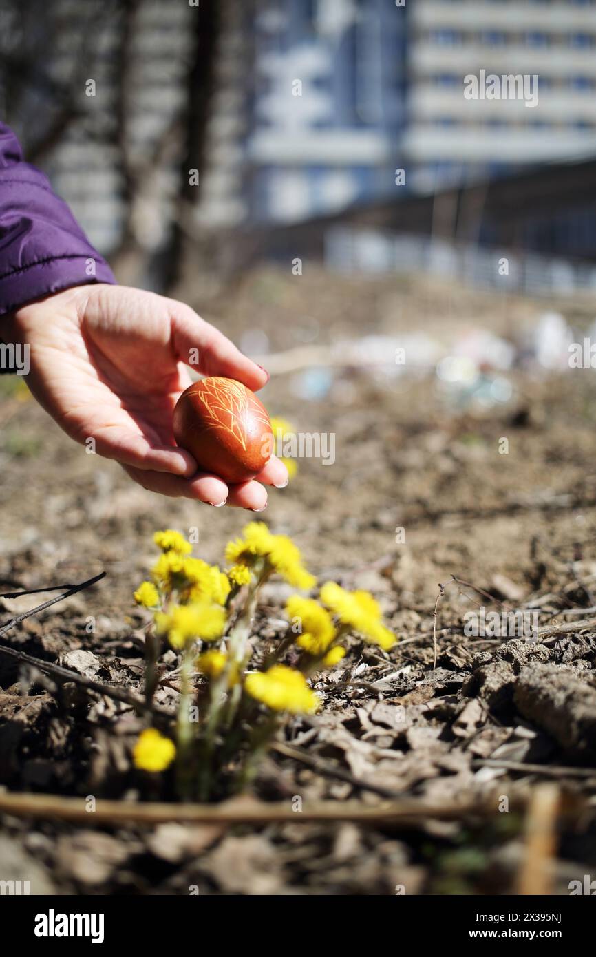 La femme tient l'œuf de pâques brun près du pissenlit. Banque D'Images