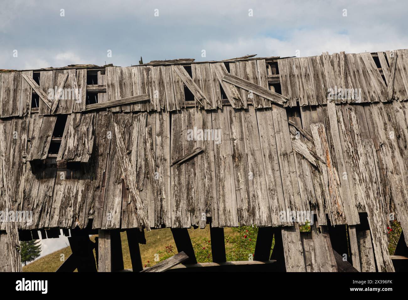 Perspective texture de toit en bois - ancienne texture de toit en bois. Banque D'Images