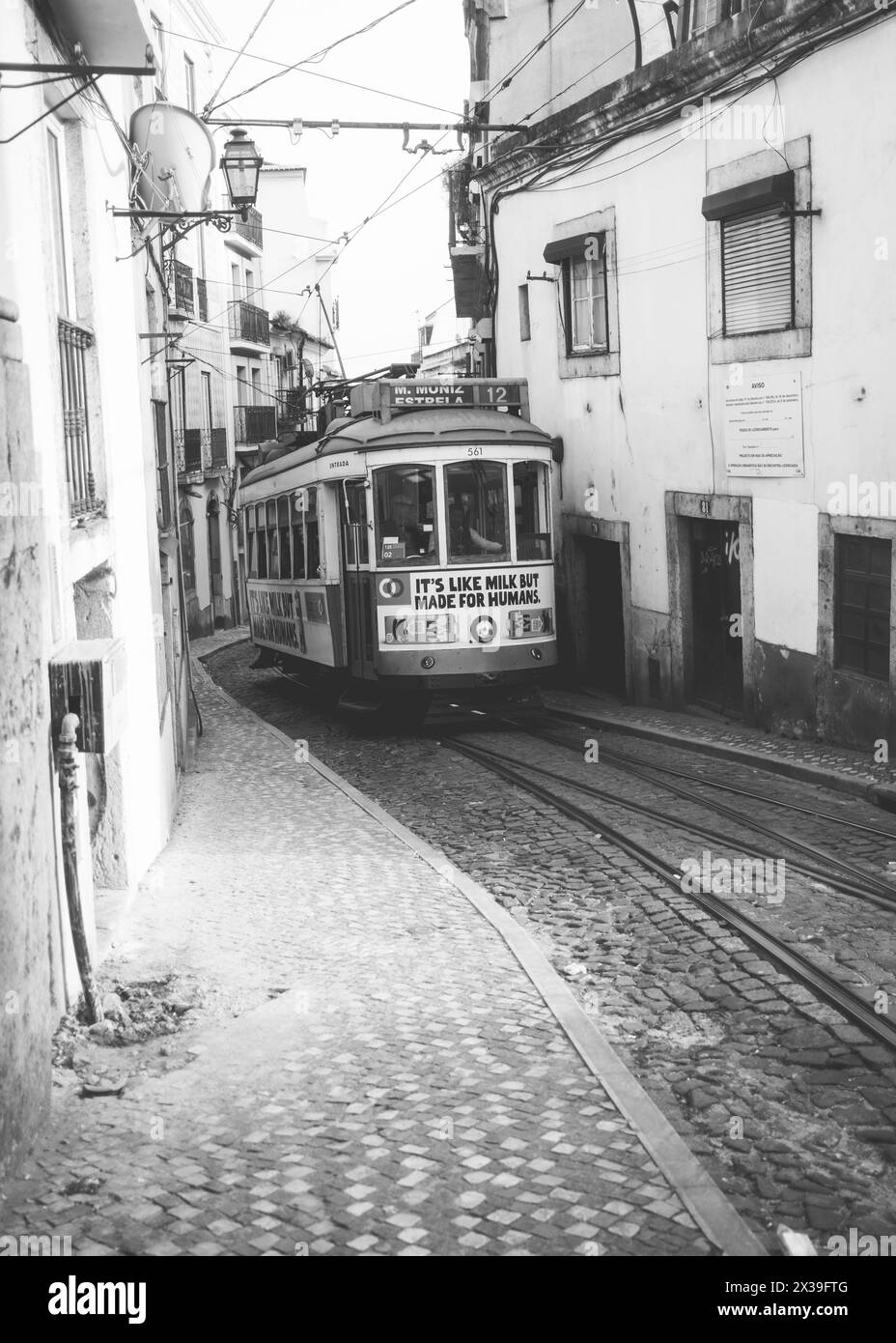 Lisbonne, Lissabon, 22.03.2024 : TravelPictures Lisbonne, vieux tramway historique 28 M. Moniz traverse Alfama, Baixa et Graca. Banque D'Images
