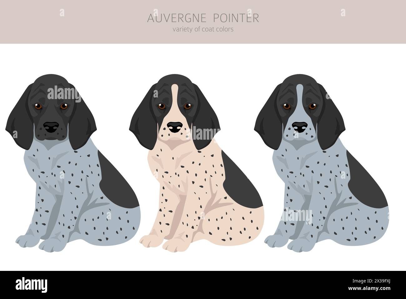 Cliquez sur le pointeur Auvergne. Différentes poses, couleurs de couche définies. Illustration vectorielle Illustration de Vecteur