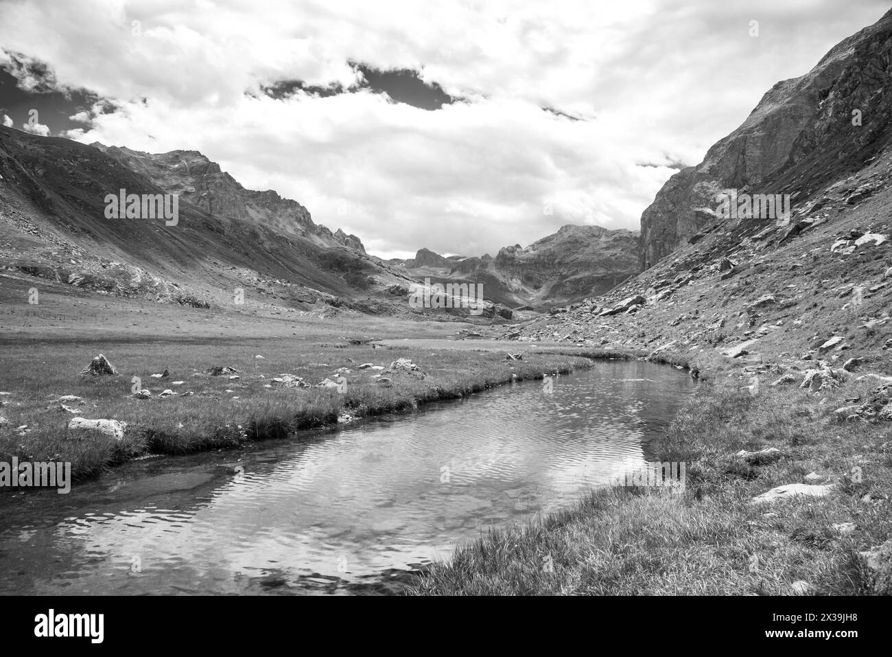 Beau paysage alpin dans une vallée de montagne. Ruisseau menant au lac de la Plagne dans les Alpes françaises. Vallée de Peisey, Savoie, France. Photo noir et blanc. Banque D'Images