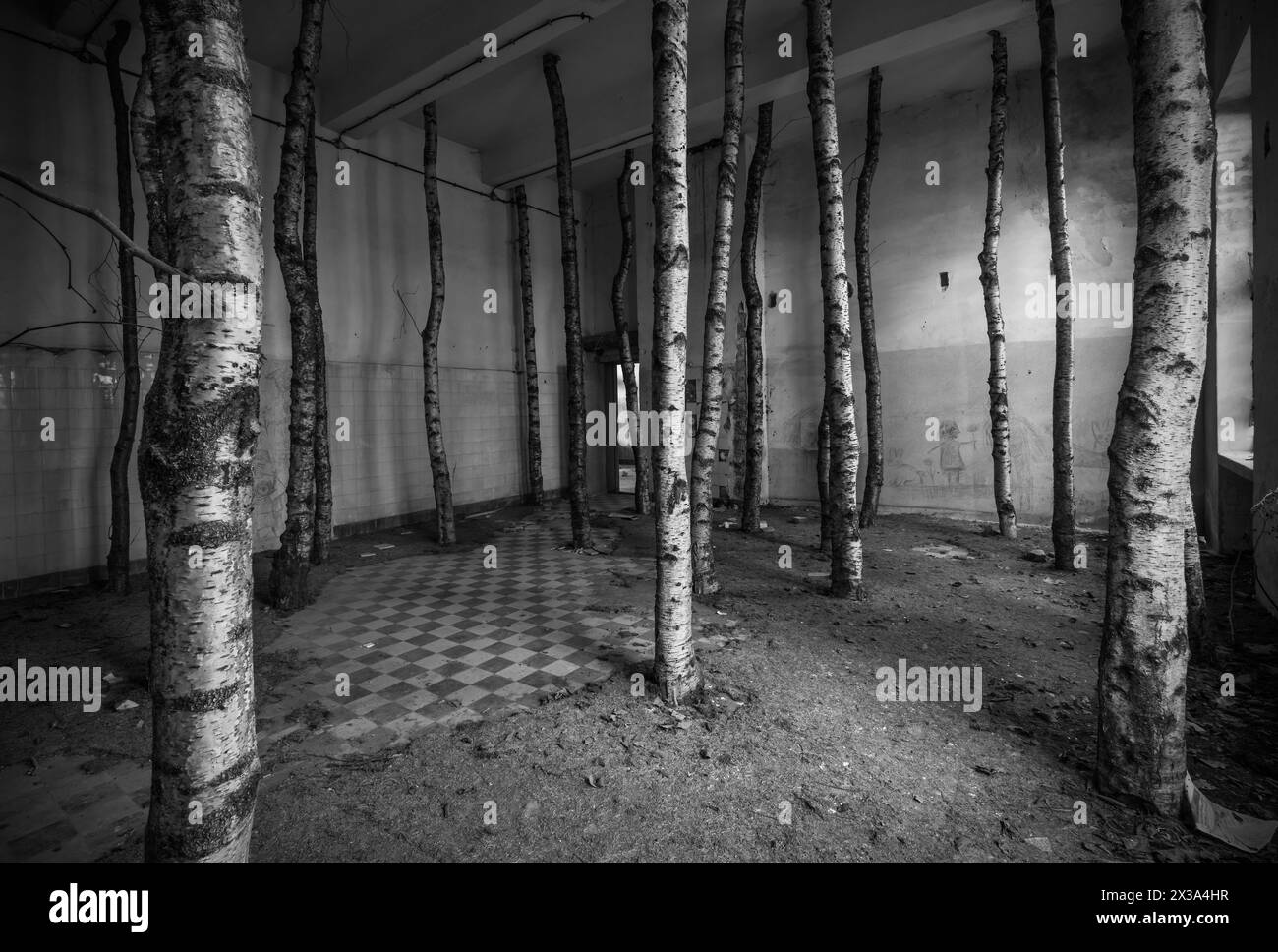 Troncs d'arbres installés dans une pièce déserte. Banque D'Images