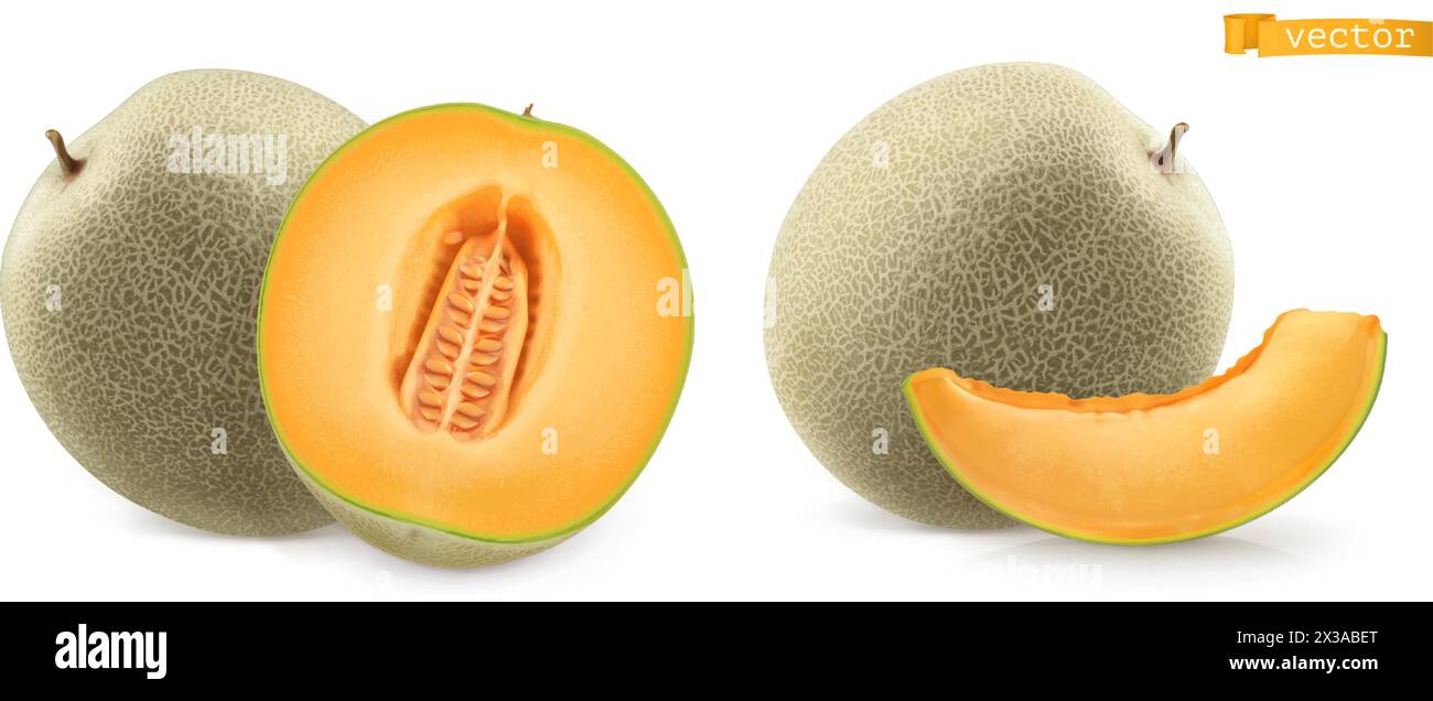 Melon doux, cantaloup. icône vectorielle réaliste 3d. Illustration de Vecteur