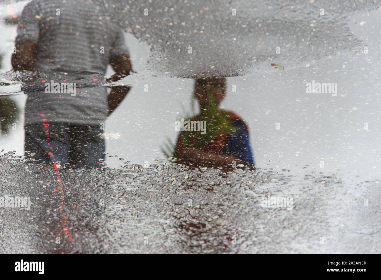 Salvador, Bahia, Brésil - 14 avril 2019 : on voit des catholiques, en réflexion sur le sol humide, tenir des plantes pendant la célébration du dimanche des Rameaux en th Banque D'Images